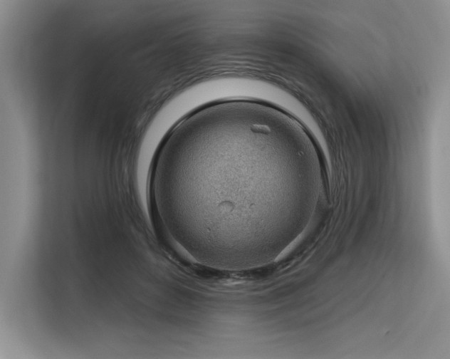 X0000113580504200909181310