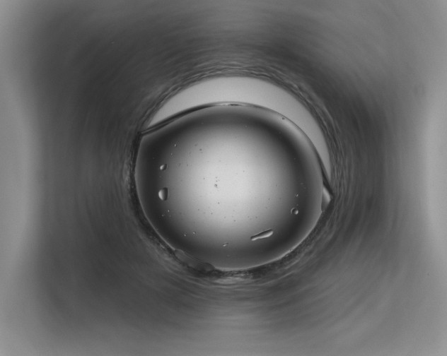 X0000113580505200909181310