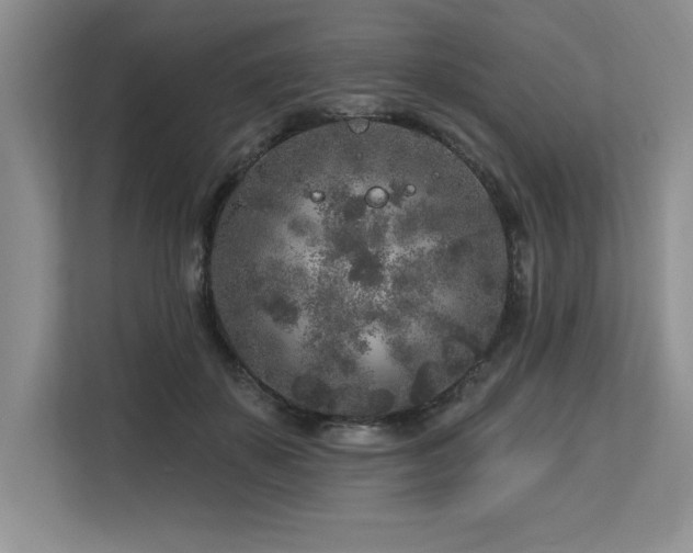 X0000113580507200909181310