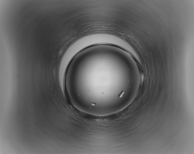 X0000113580508200909181310