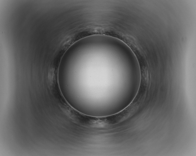 X0000113580511200909181310