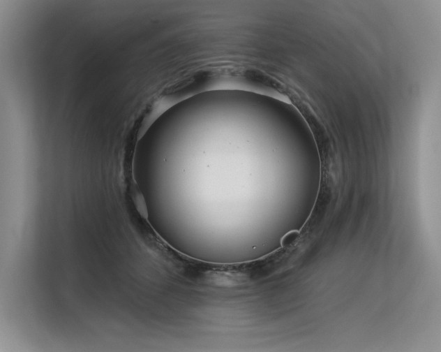 X0000113580512200909181310