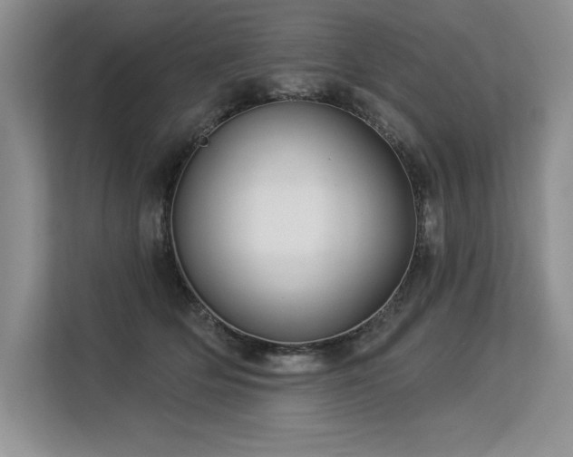 X0000113580514200909181310