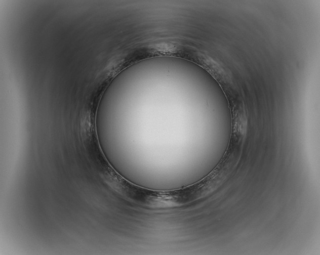 X0000113580518200909181310