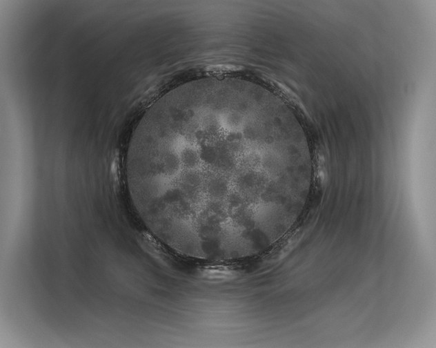 X0000113580519200909181310