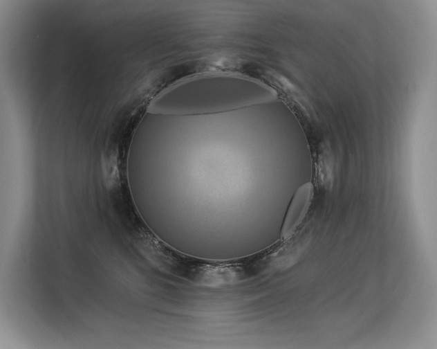 X0000113580520200909181310