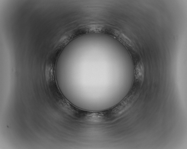 X0000113580522200909181310