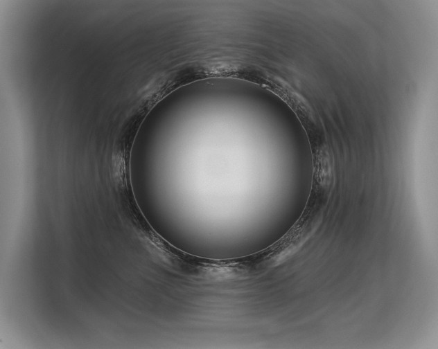X0000113580523200909181310