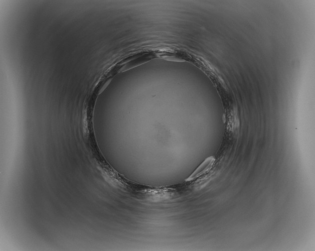 X0000113580524200909181310