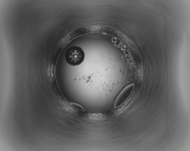 X0000113580525200909181310