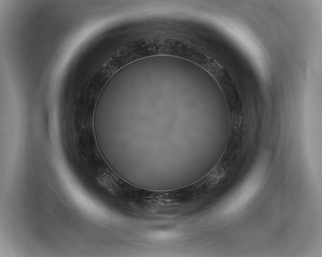 X0000113580526200909181310