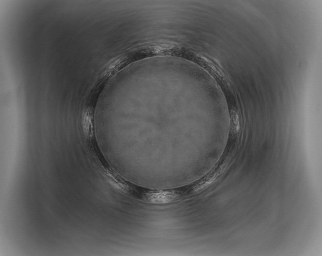 X0000113580527200909181310