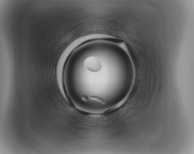X0000113580528200909181309