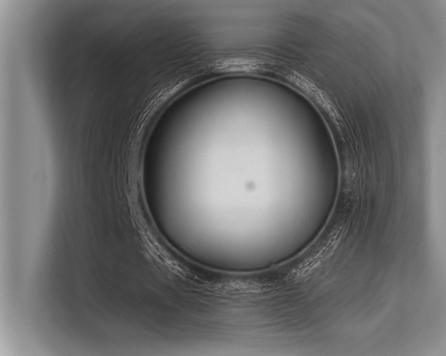 X0000113580529200909181309