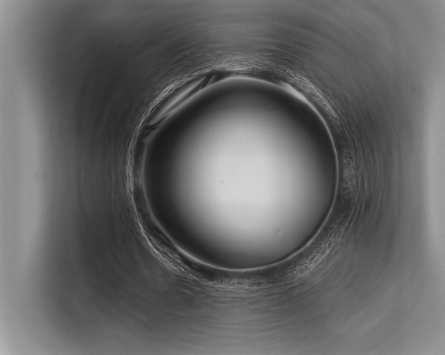 X0000113580530200909181309