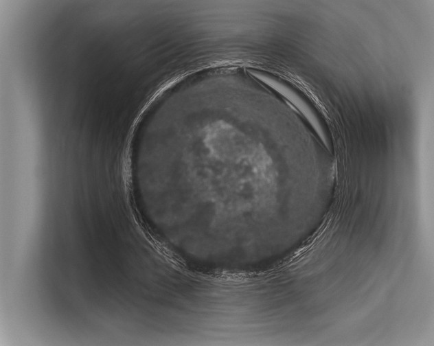 X0000113580531200909181309