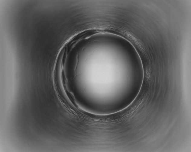 X0000113580532200909181309