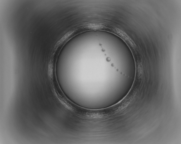 X0000113580533200909181309