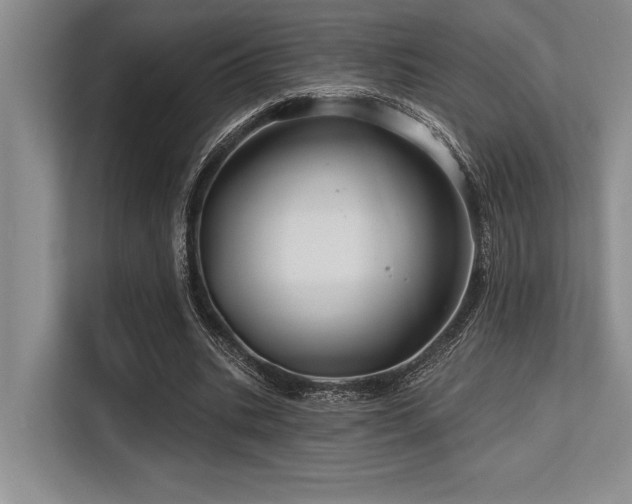 X0000113580535200909181309