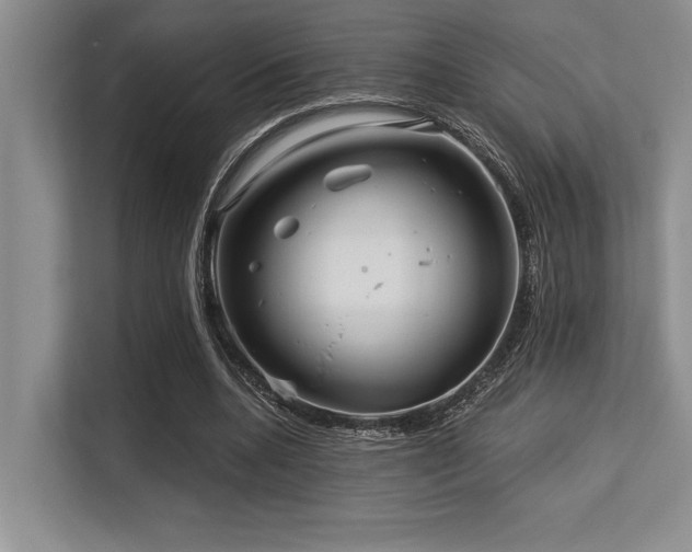 X0000113580536200909181309