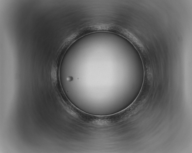 X0000113580537200909181309