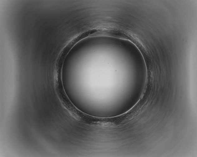 X0000113580539200909181309