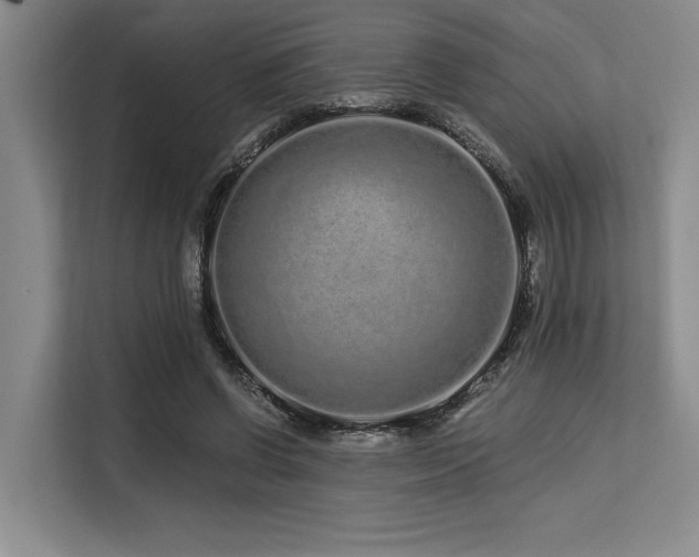 X0000113580542200909181309