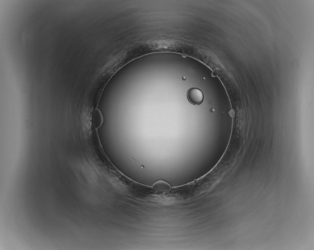 X0000113580545200909181309
