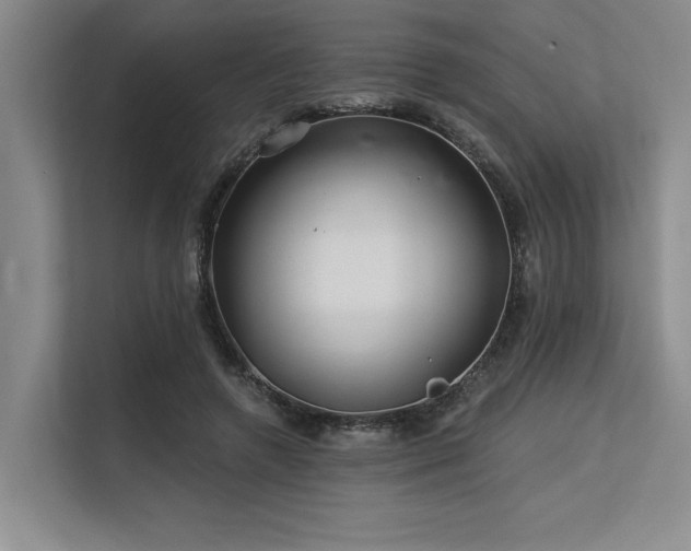 X0000113580546200909181309
