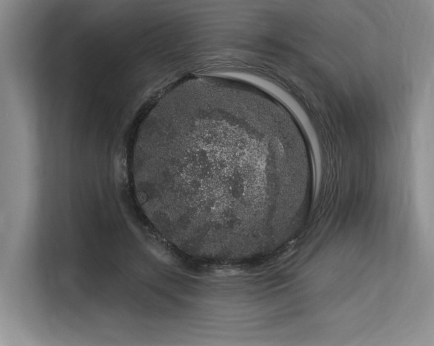X0000113580547200909181309
