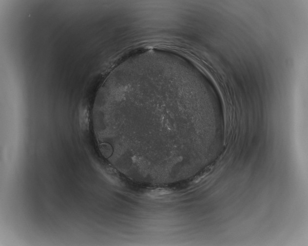 X0000113580551200909181309