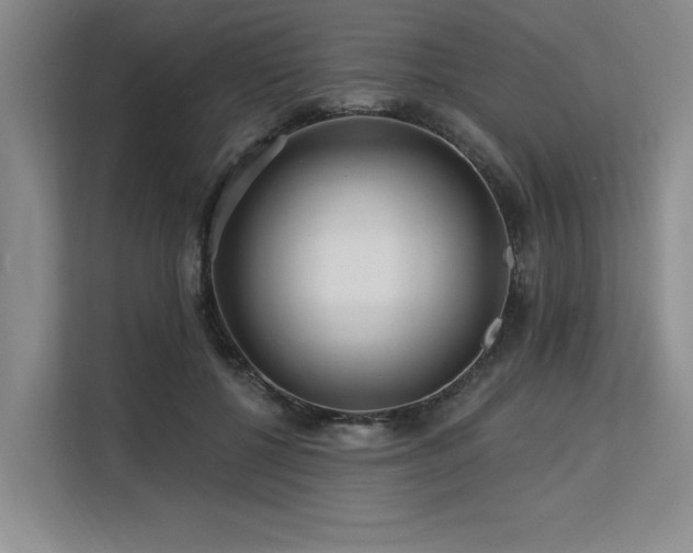 X0000113580552200909181309