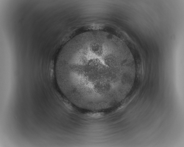 X0000113580553200909181309