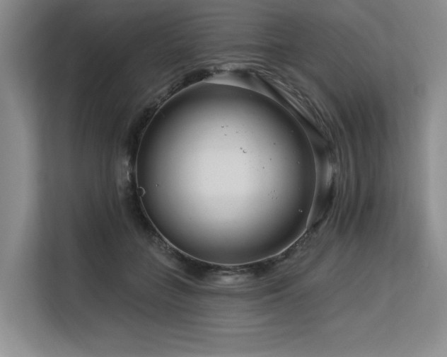 X0000113580555200909181309