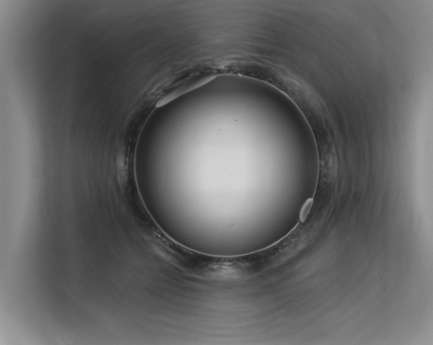 X0000113580558200909181309