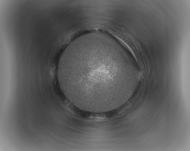 X0000113580559200909181309