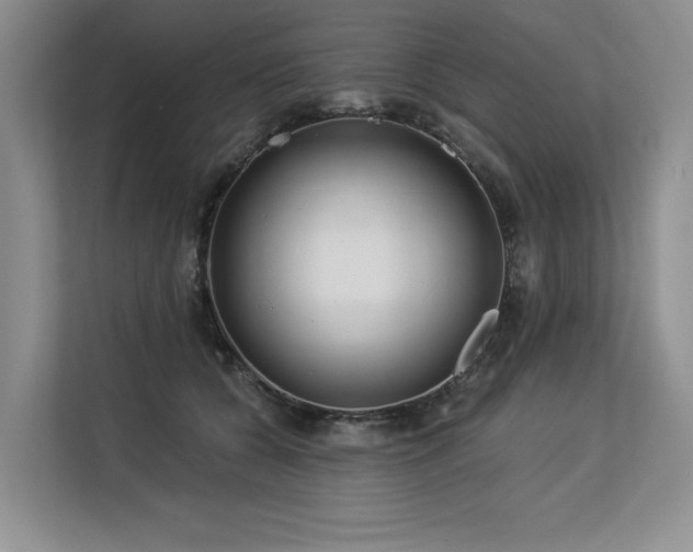 X0000113580560200909181309