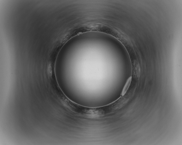 X0000113580562200909181309