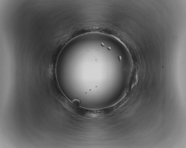 X0000113580563200909181309