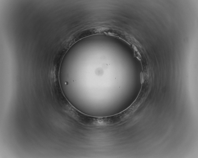X0000113580565200909181309