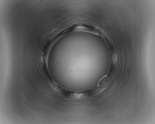 X0000113580570200909181309
