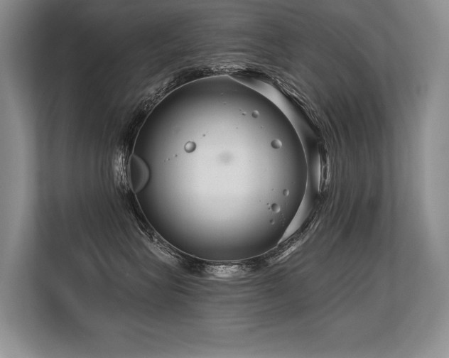 X0000113580575200909181309