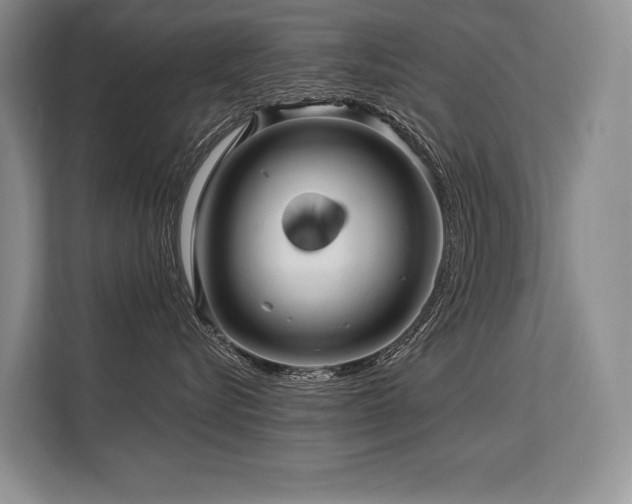X0000113580576200909181309