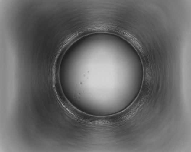 X0000113580578200909181309