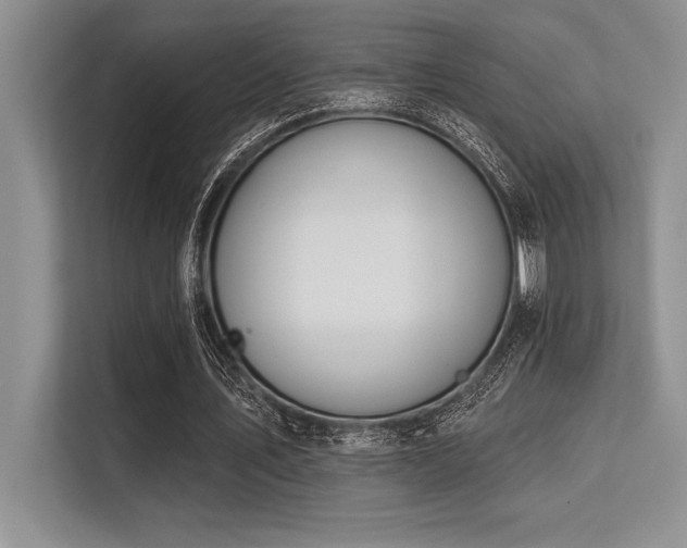 X0000113580579200909181309