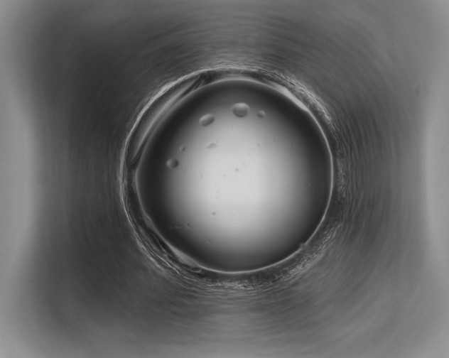 X0000113580580200909181309
