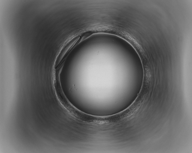X0000113580582200909181309