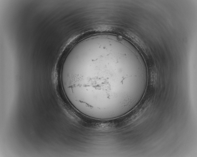 X0000113580584200909181309