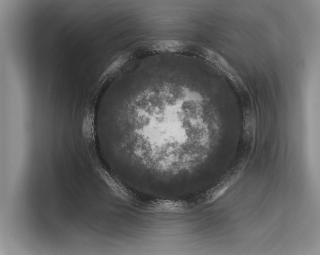 X0000113580585200909181309