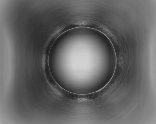 X0000113580586200909181309
